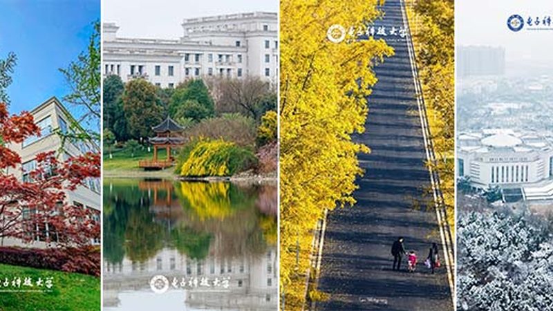 深圳电子元件回收价格影响因素解析**